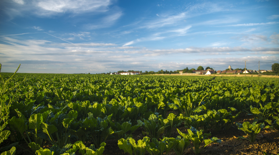 2018年高铁征地补偿标准一亩多少钱
