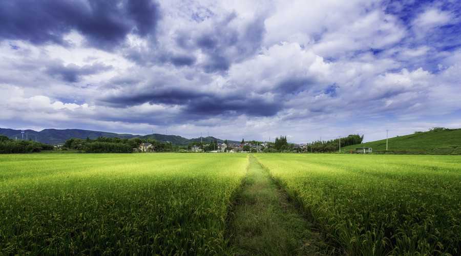 营改增后土地转让税费要交多少