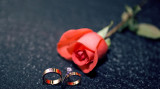 违反法律禁止结婚的规定有哪些