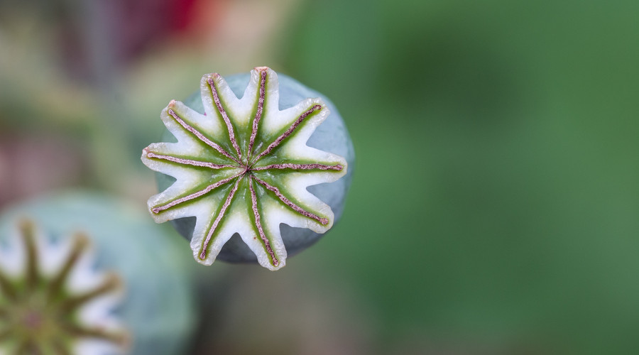 死刑缓期执行的规定