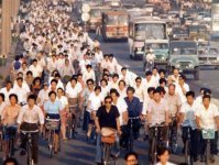 惊!2010年深圳自行车事故89人死亡