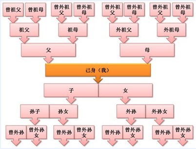 什么是拟制血亲?
