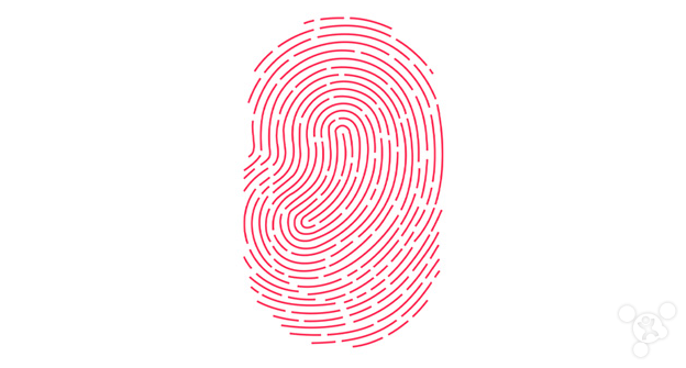 借支单怎么写才受法律保护