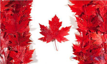 加拿大移民申请流程怎么走