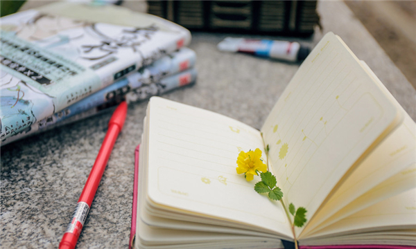 商标权转让包括哪些