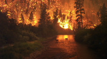 森林失火罪立案标准是怎样的