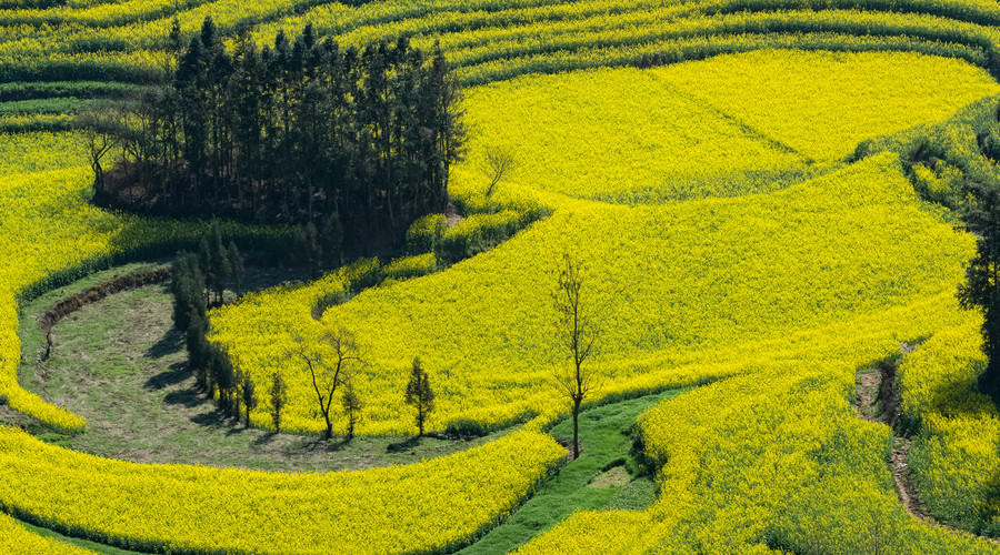 %title插图%num %title插图%num