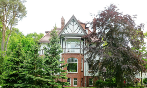 继承权的确认有哪些规定