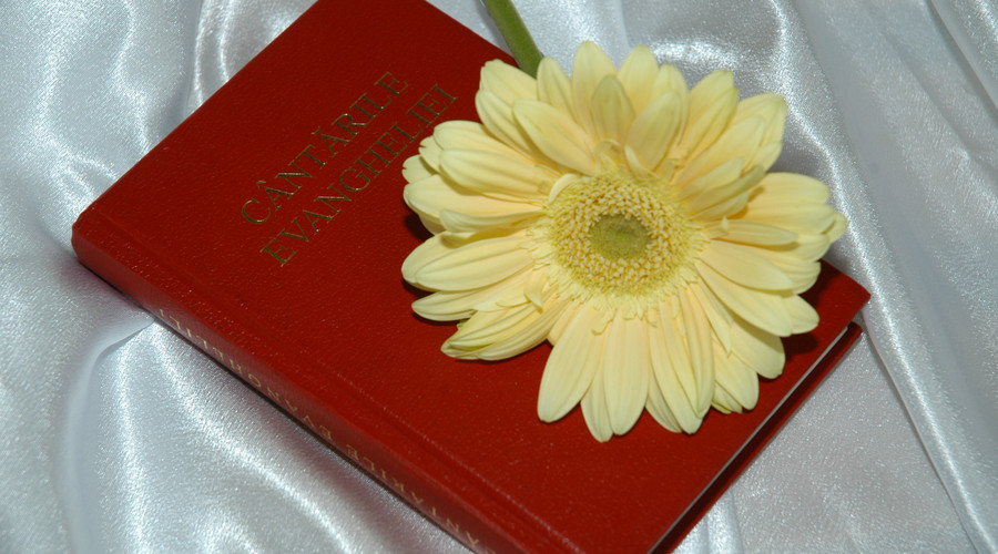 离婚协议咨询律师怎么收费