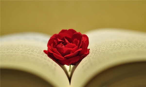 法定继承的份额如何确定