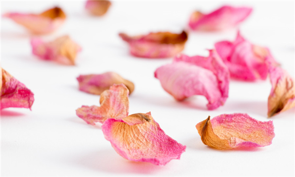 离婚协议的模板是怎样的