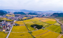 两村土地纠纷调解怎么写