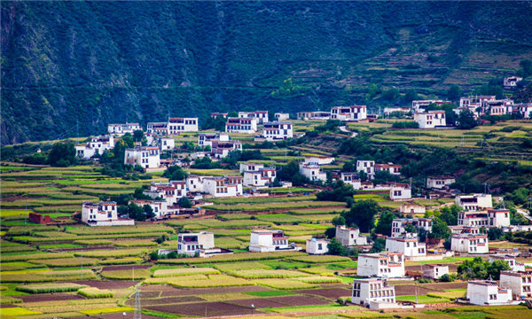 互换土地口头协议有效吗