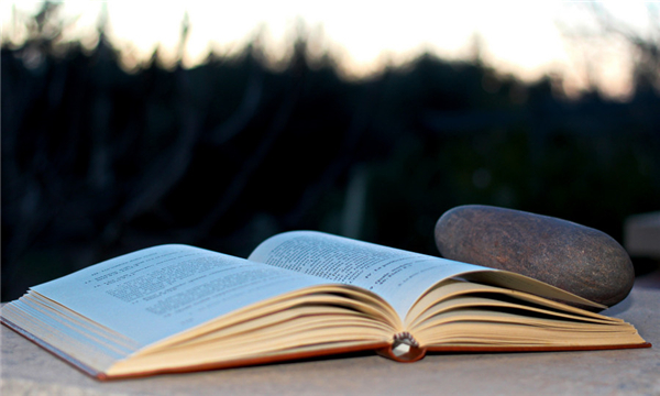 分公司的名称需要预先核准吗