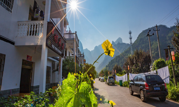 自愿退股能拿回本金吗